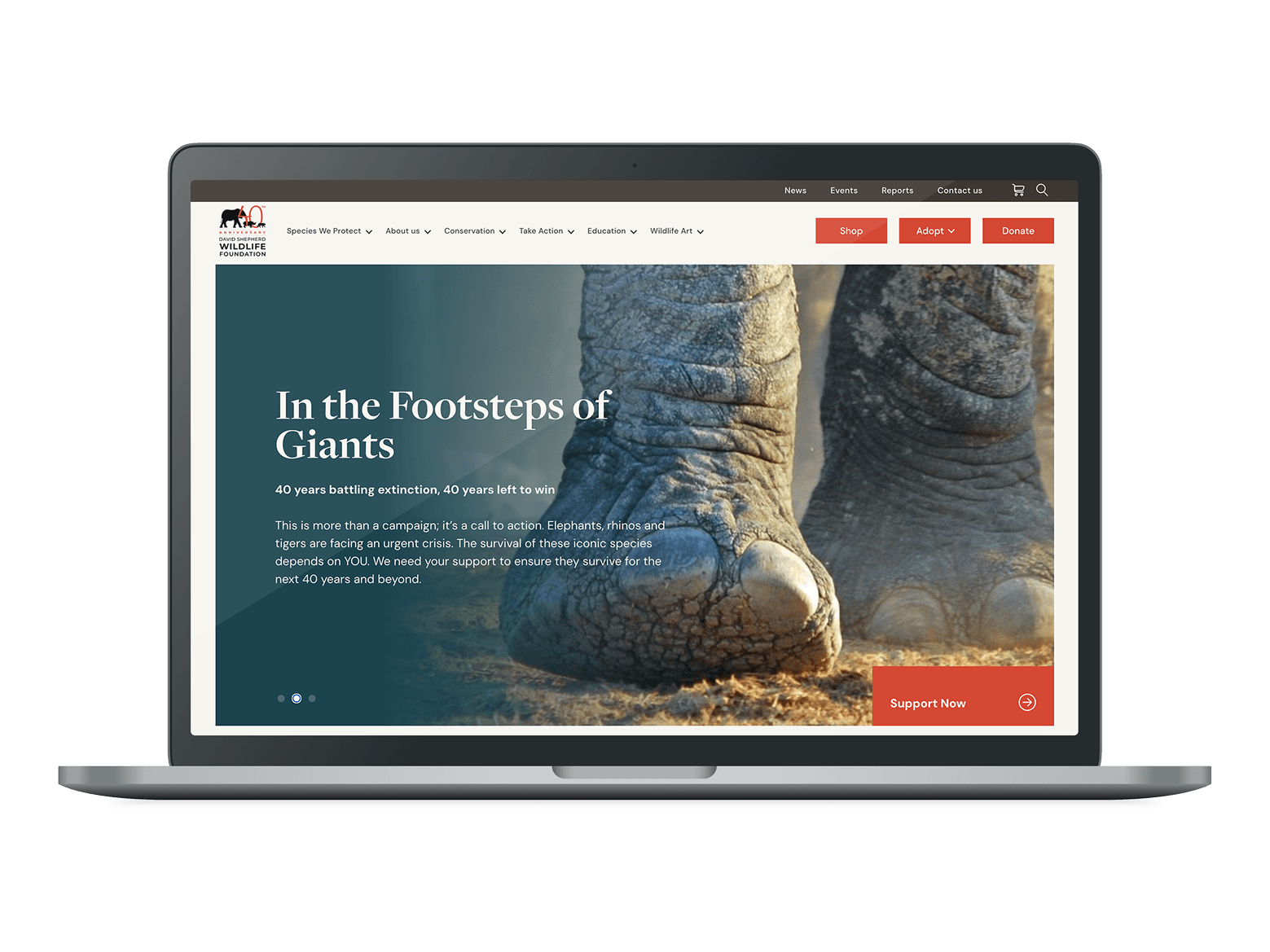 Screenshot of the David Shepherd Wildlife Foundation website by StrategiQ