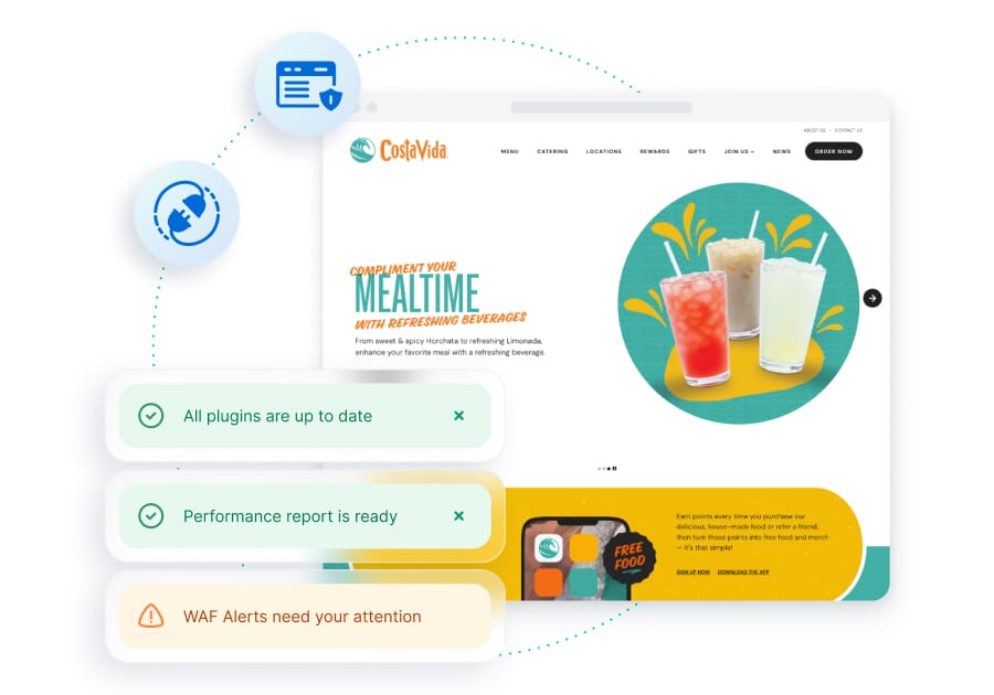 Costa Vida's site show alerts from different WP Engine tools